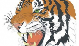 虎头漫画,幽默与讽刺的艺术展现